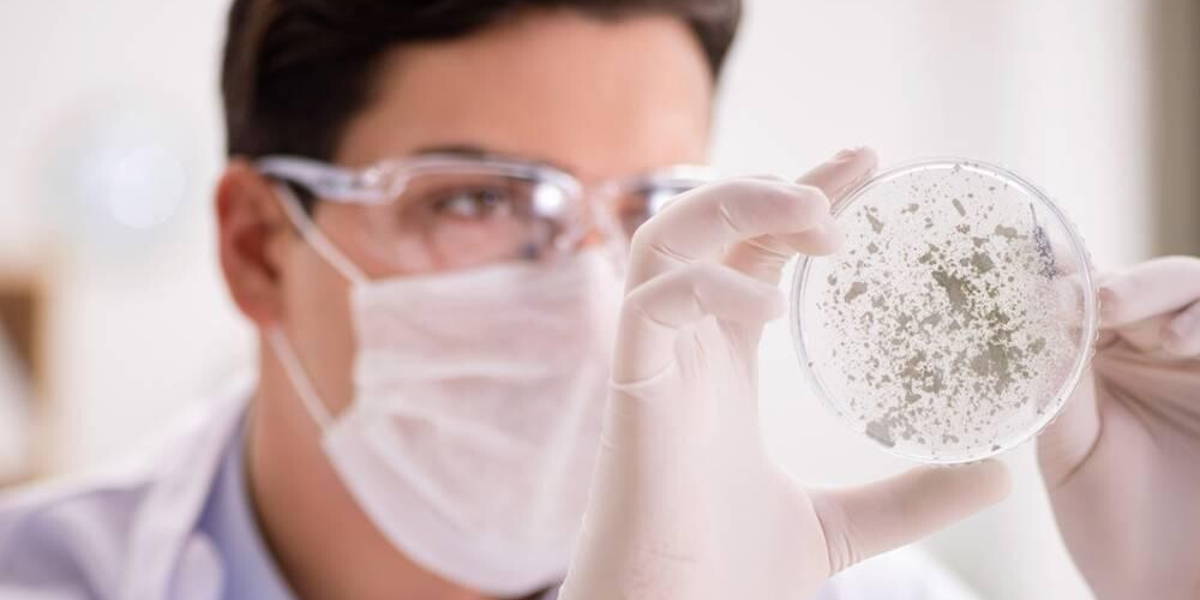 Virus-Vaccin-Onderzoek-Lab