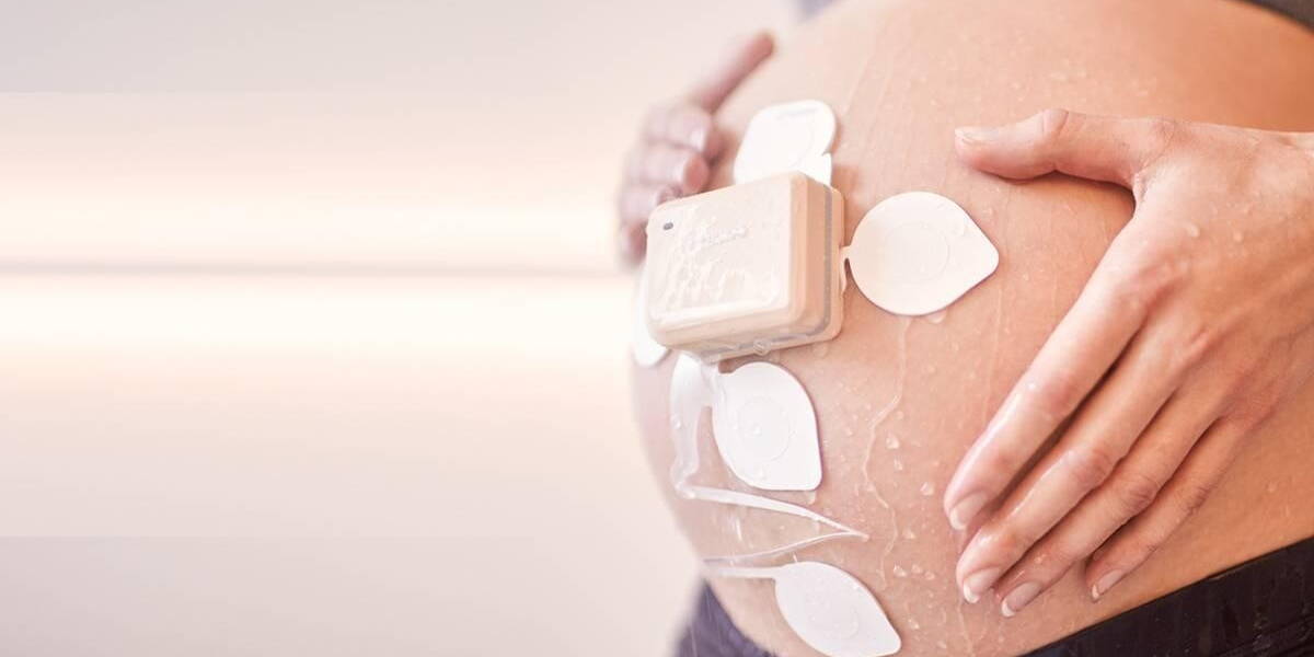 ces-avalon-wedorganic4-tw.download