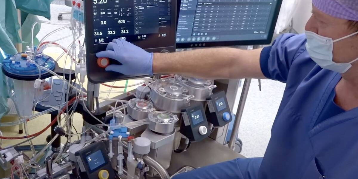 Catharine-Hart-Longmachine