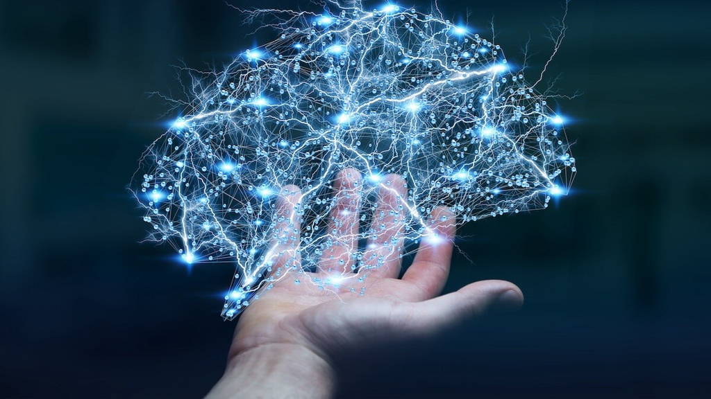 Brein neural network