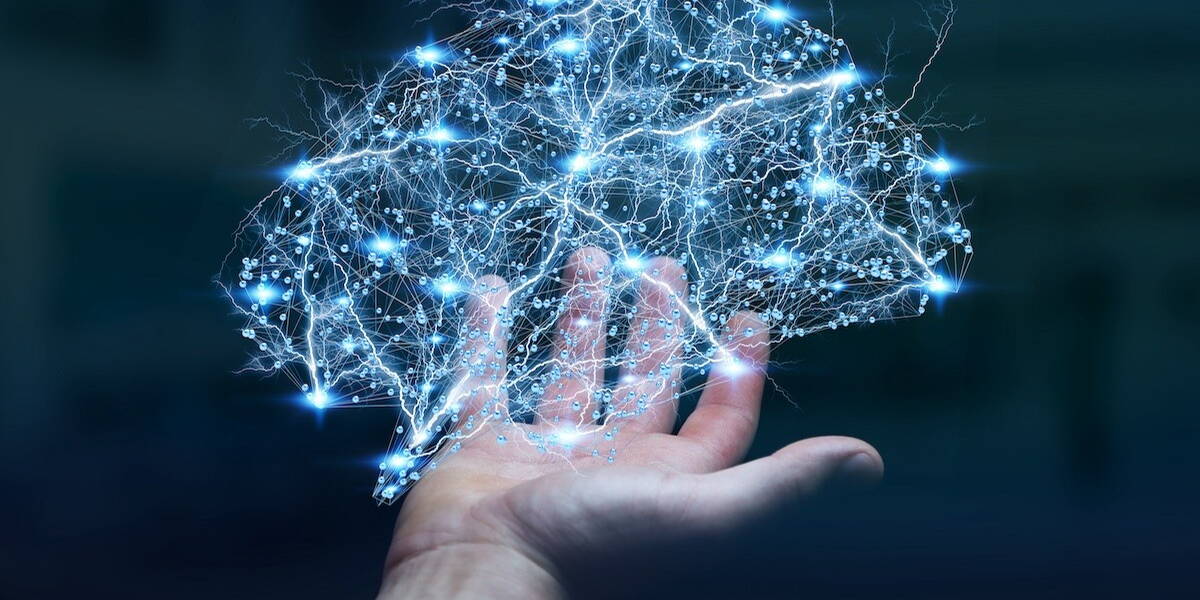 Brein neural network