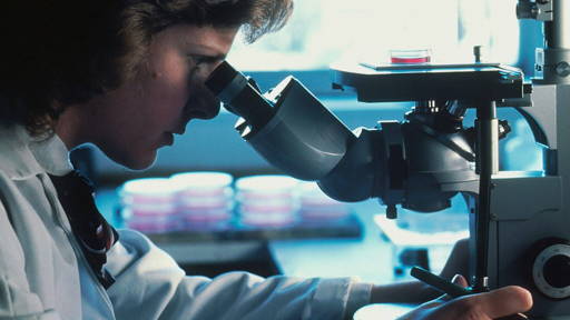 Hidden cancer target exposes limits of AI drug discovery