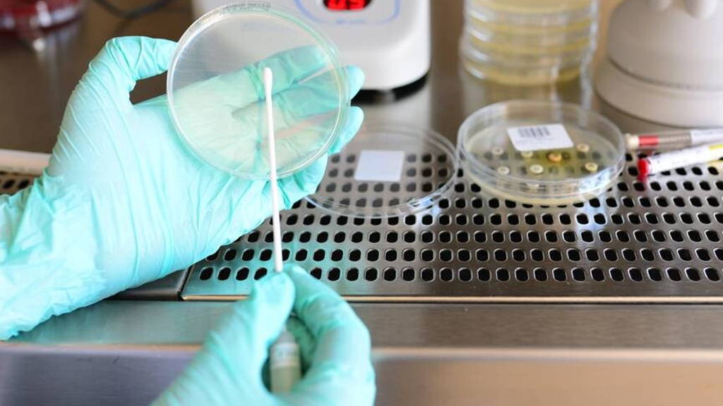 Laboratorium-klinische-pathologie