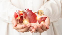 Donororganen langer bewaren met antivriesproteïnen