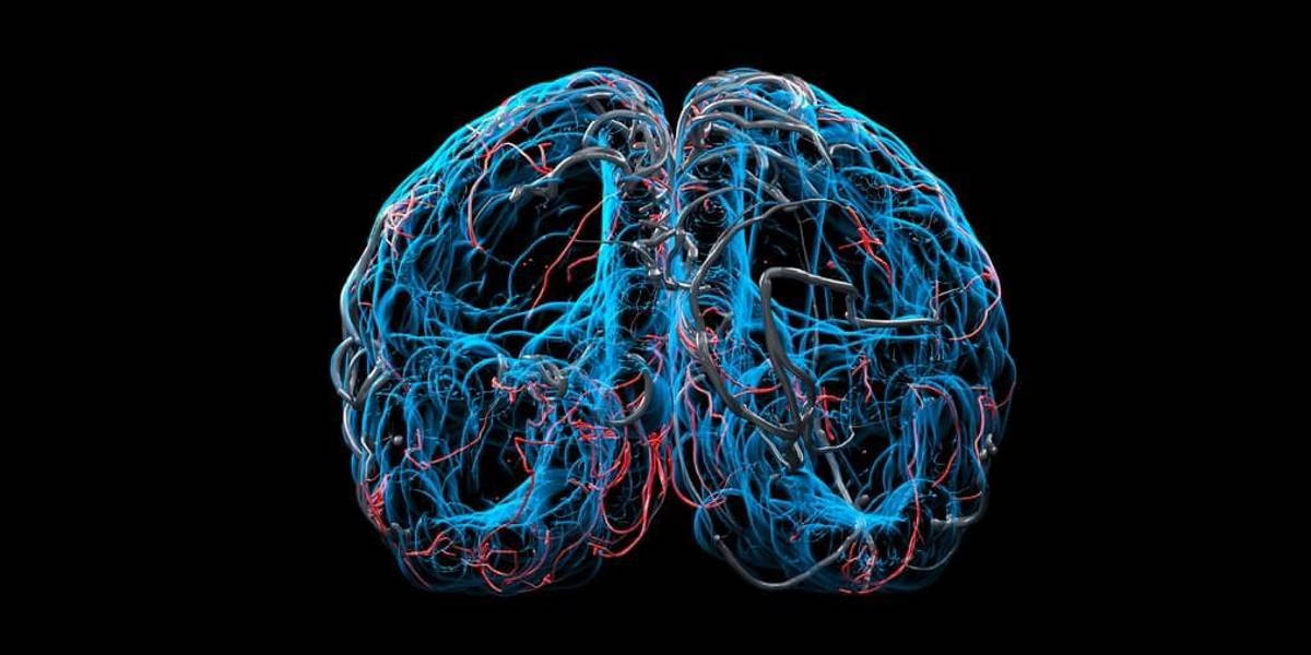 Close up X-ray Brain Concept on black background. 3D Render.