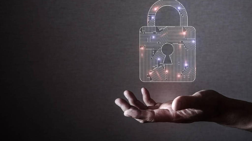 Een goede FG telt voor twee, Over het nut van een FG om uw zorginstelling privacyproof te maken