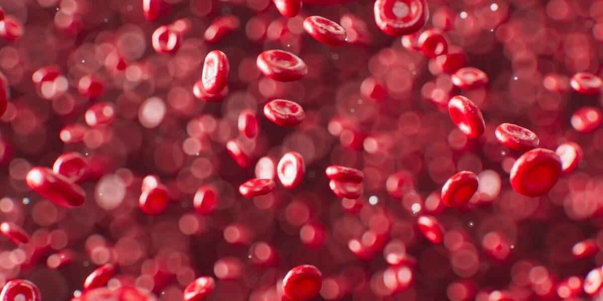 Bloedcellen