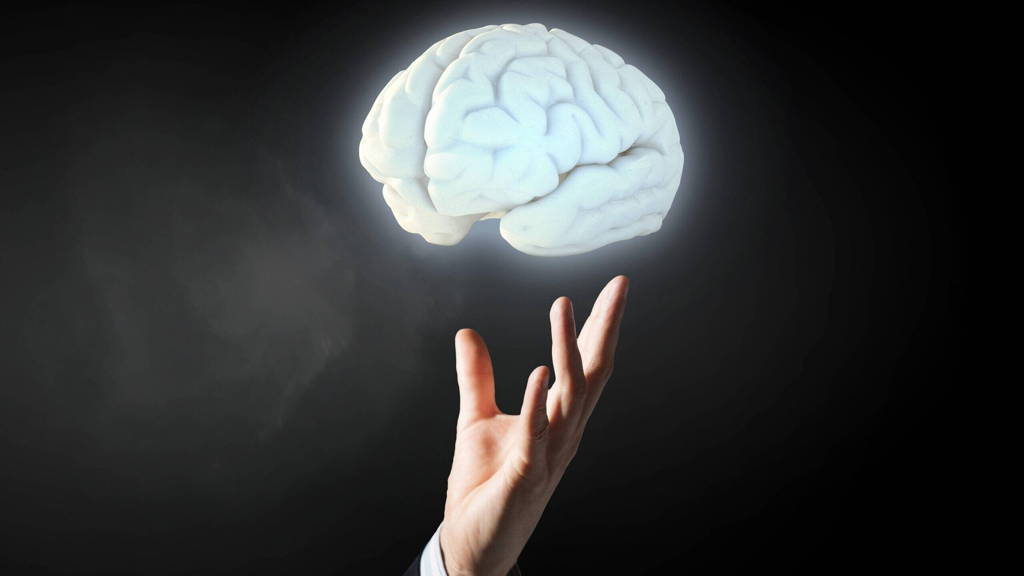 ING_19061_71868-scaled