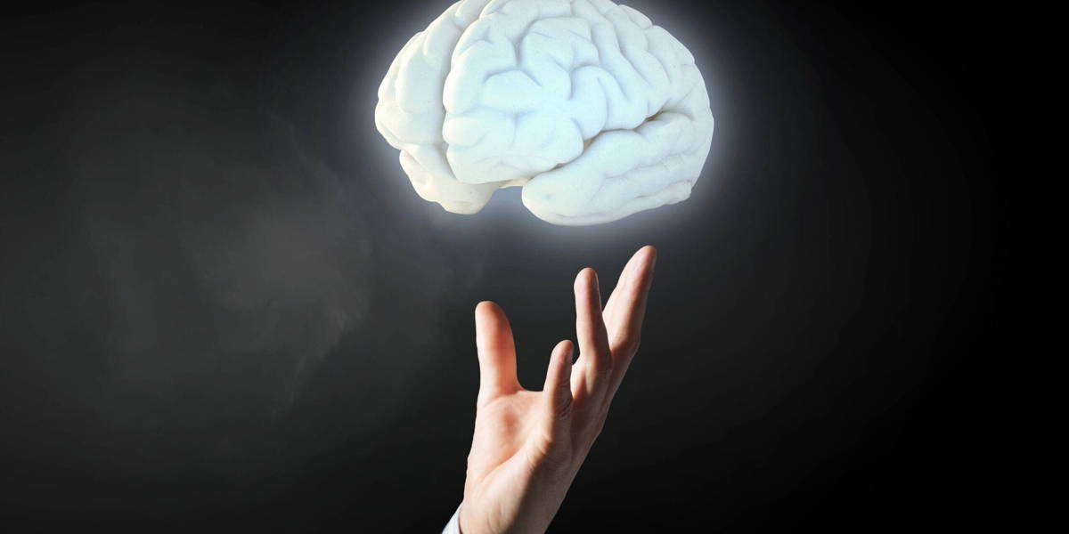 ING_19061_71868-scaled