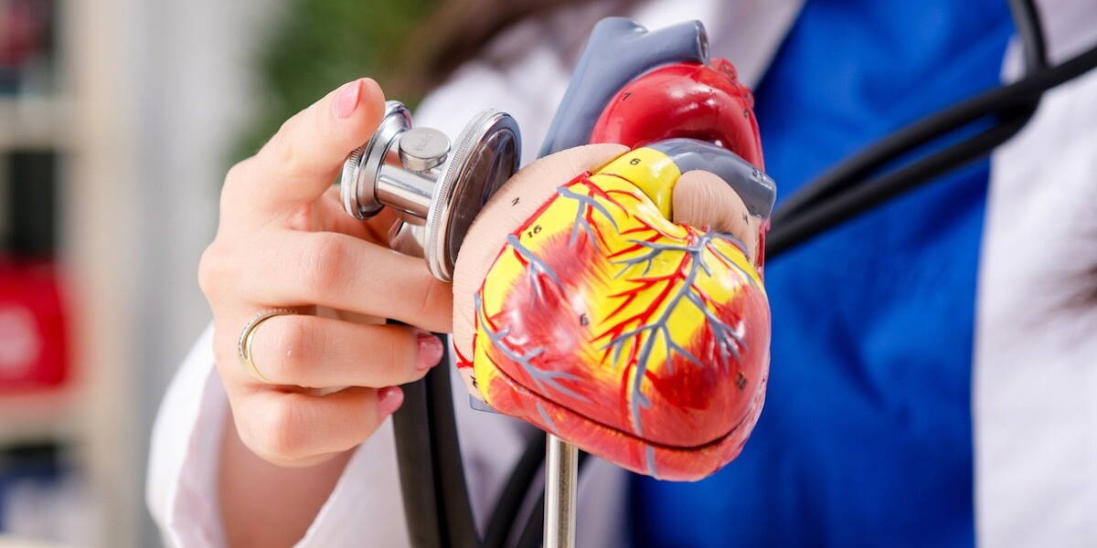 Female doctor cardiologist working in the clinic