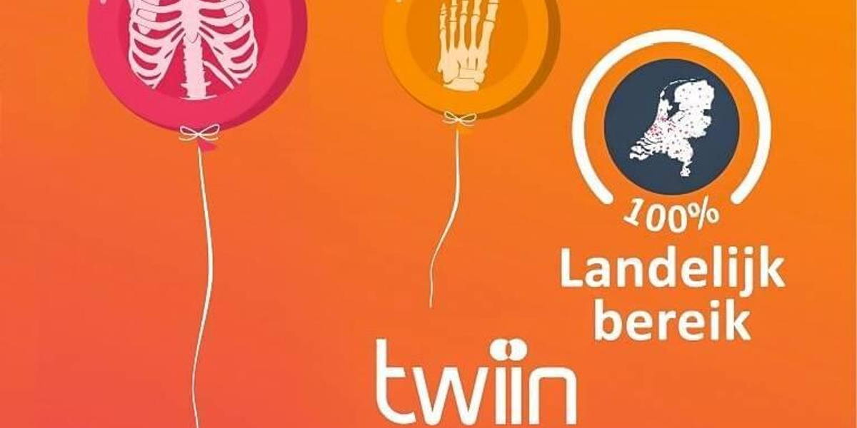 a-Twiin-Achtergrond-Teams-Zoom-Landelijk-bereik2