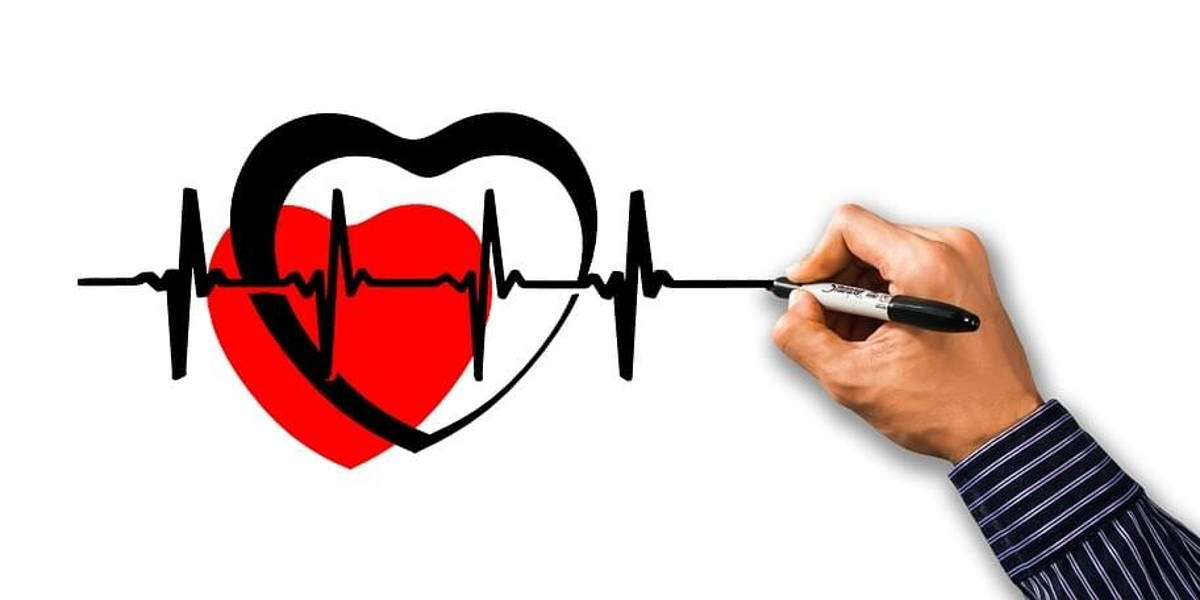 heart-3501018_960_720