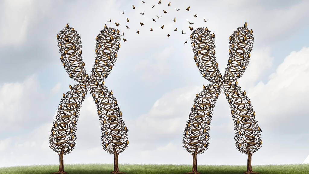 Gene Science And DNA Exchange