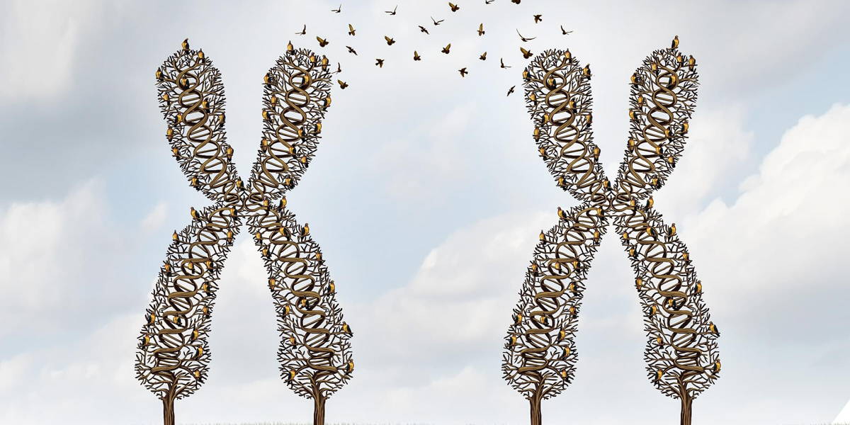 Gene Science And DNA Exchange