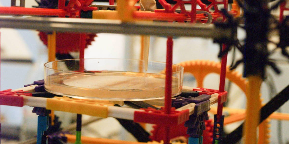 IGEM2015CollaborationDelft-21-scaled