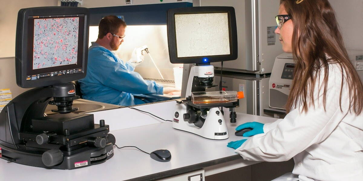 Huidorganoiden diagnostiek mpox