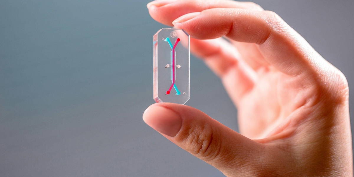 OrganChip