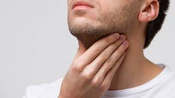 ‘RoboGullet’ offers realistic model for studying swallowing disorders