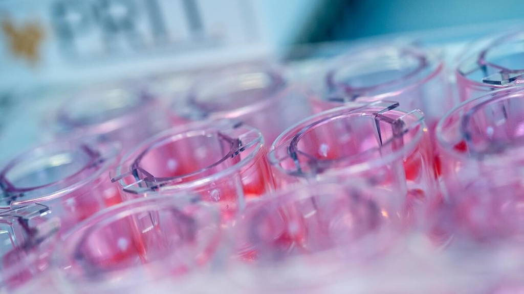 Avoiding animal experimentation