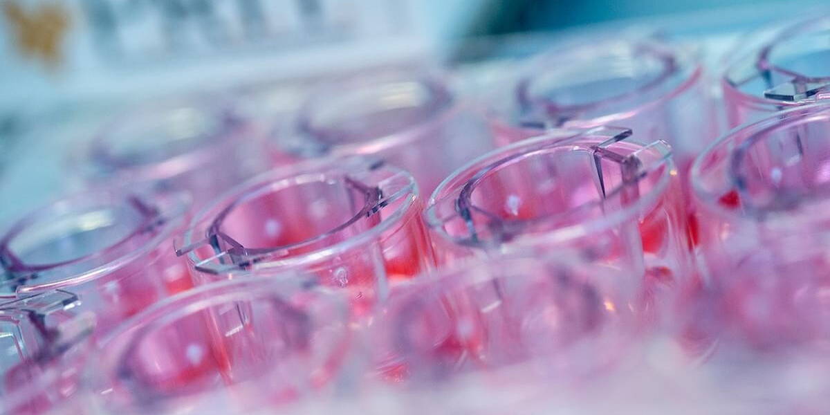 Avoiding animal experimentation