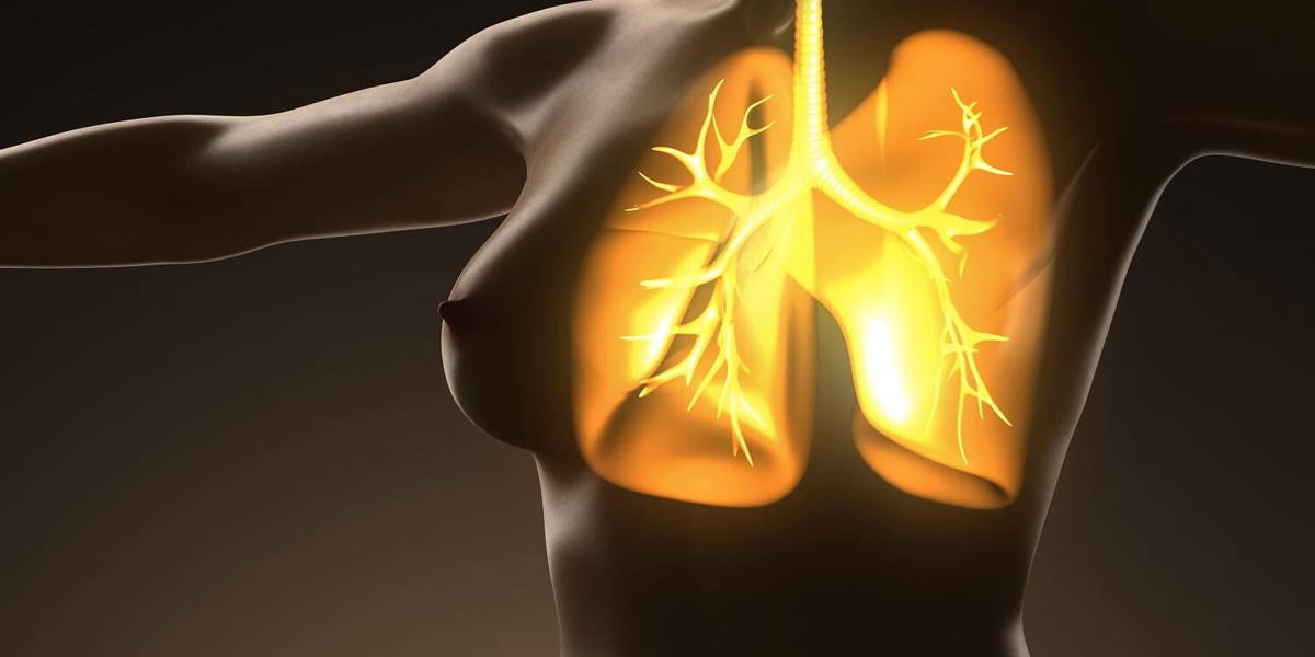 science anatomy of human body with glow lungs