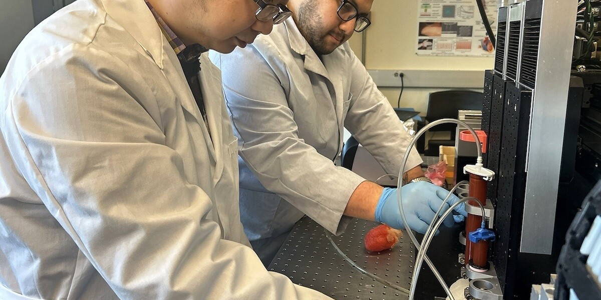 Onderzoekers met 3d geprint hartmodel