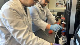 3D-printed beating heart for training heart surgeons