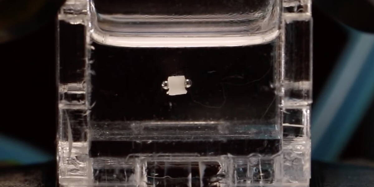 Microrobot-a