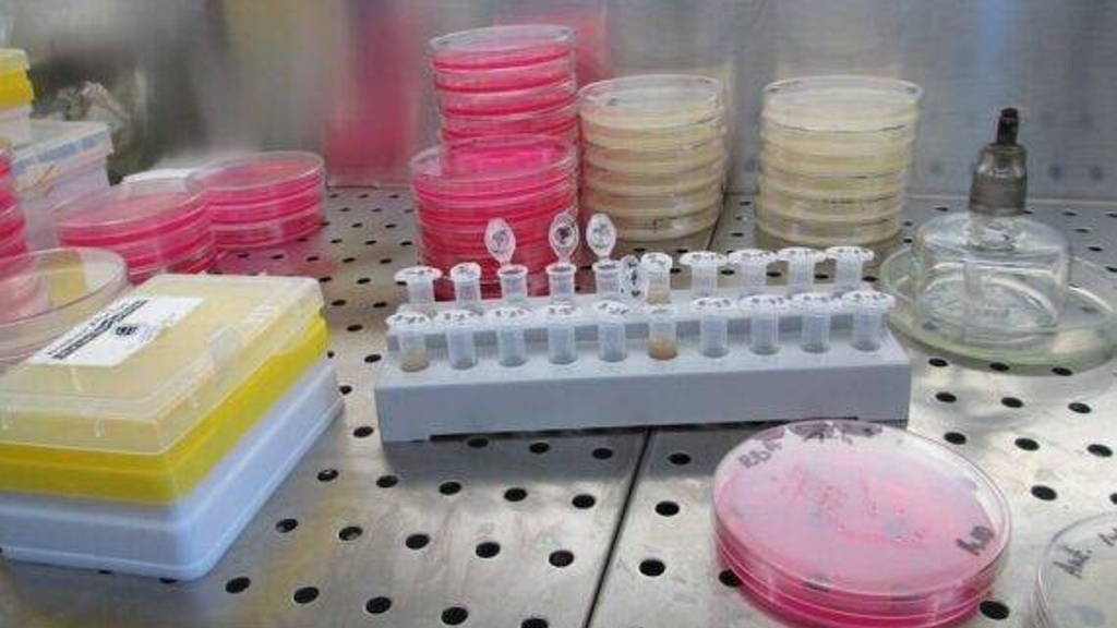 Laboratorium-2-570x360-1