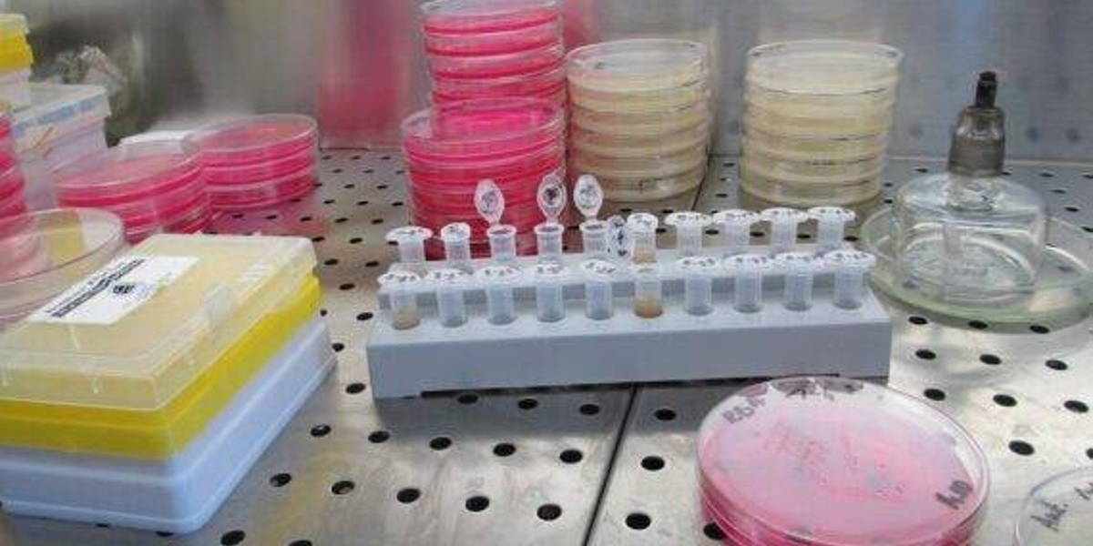 Laboratorium-2-570x360-1